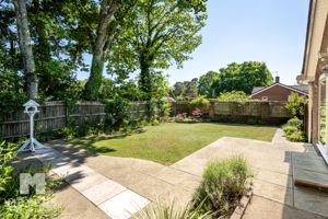 Photo 5- click for photo gallery